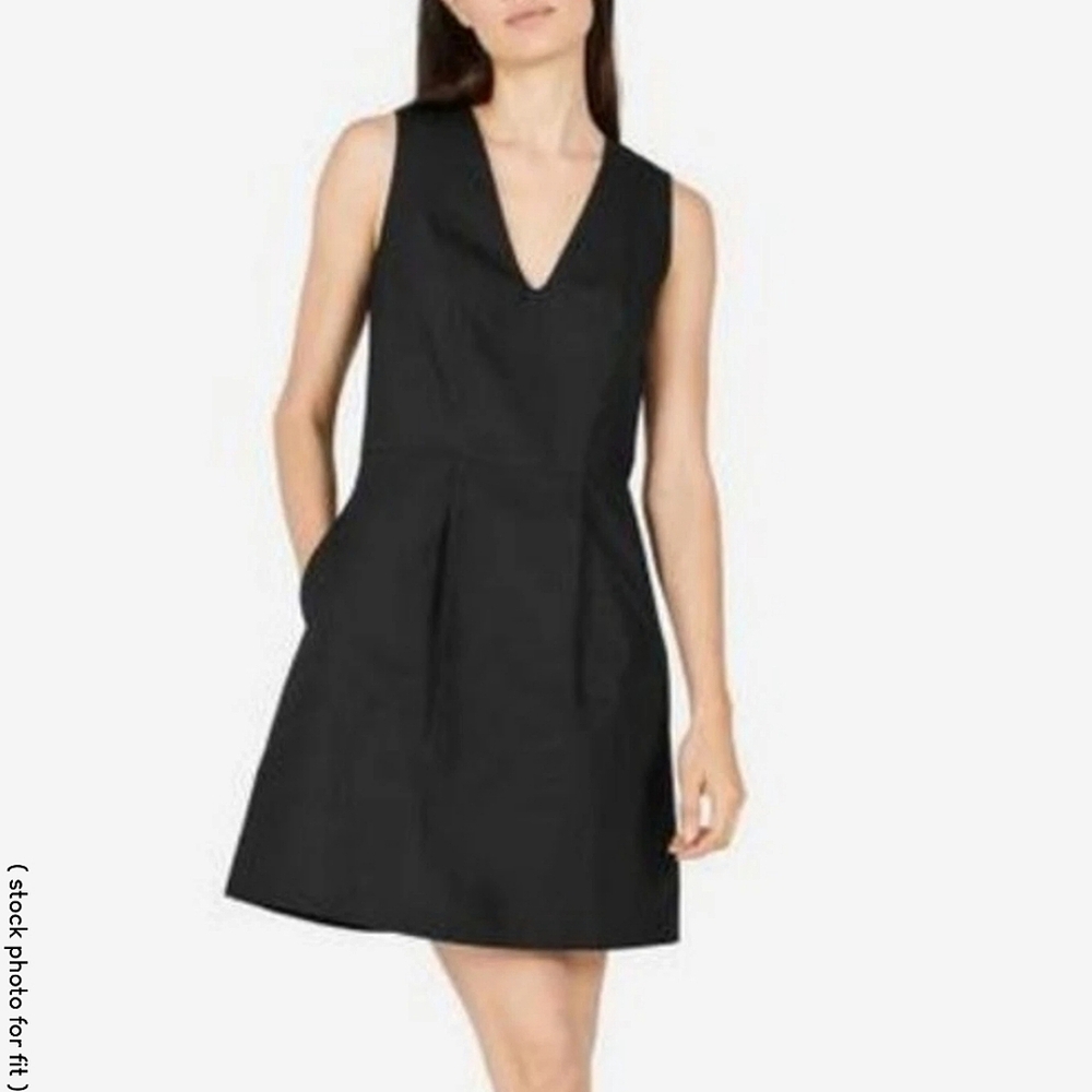 Everlane Cotton Poplin Sleeveless V-Neck Flare Dress in black